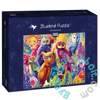 Bluebird 2000 db-os puzzle - Owl Autonomy (90005)