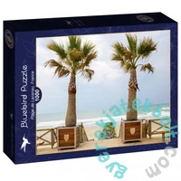Bluebird 1000 db-os puzzle - Plage de Lacanau, France ( 90484)