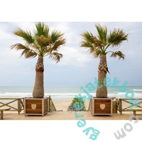 Bluebird 1000 db-os puzzle - Plage de Lacanau, France ( 90484)