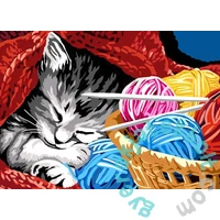 Brain Tree 1000 db-os puzzle - Kitty Snooze (2102057)