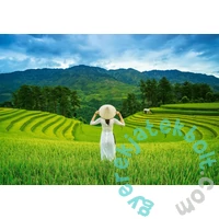 Castorland 1000 db-os puzzle - Rice Fields in Vietnam (C-105052)