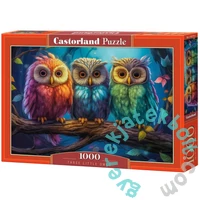 Castorland 1000 db-os puzzle - Három színes kisbagoly (C-105175)