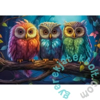 Castorland 1000 db-os puzzle - Három színes kisbagoly (C-105175)