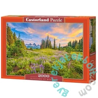 Castorland 2000 db-os puzzle - Reggeli virágok (C-200863)
