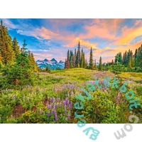 Castorland 2000 db-os puzzle - Reggeli virágok (C-200863)