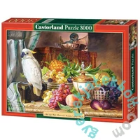 Castorland 3000 db-os puzzle - Csendélet (C-300143)