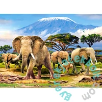 Castorland 300 db-os puzzle - A Kilimanjaro reggel (B-030019)