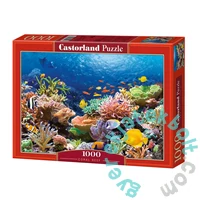 Castorland 1000 db-os puzzle - Korall zátony (C-101511)
