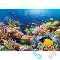 Castorland 1000 db-os puzzle - Korall zátony (C-101511)