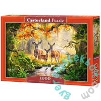 Castorland 1000 db-os puzzle - Szarvas család (C-104253)