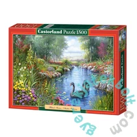 Castorland 1500 db-os puzzle - Fekete hattyúk - Andres Orpinas (C-151042)
