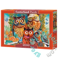 Castorland 2000 db-os puzzle - Baglyok (C-200535)