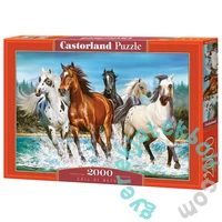 Castorland 2000 db-os puzzle - Hív a természet (C-200702)