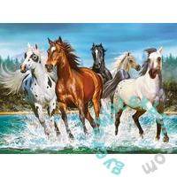 Castorland 2000 db-os puzzle - Hív a természet (C-200702)