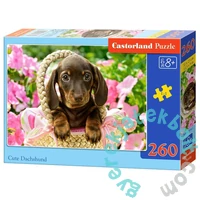 Castorland 260 db-os puzzle - Cuki tacskó (B-27514)