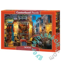 Castorland 3000 db-os puzzle -  A különleges helyünk, Velence (C-300426)