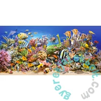 Castorland 4000 db-os puzzle - Víz alatti élet (C-400089)