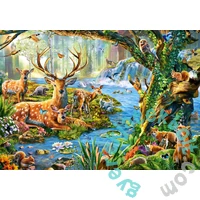 Castorland 500 db-os puzzle - Élet az erdőben (B-52929)