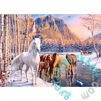 Castorland 180 db-os puzzle - Téli olvadás (B-018505)