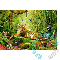 Castorland 260 db-os puzzle - Őfelsége a tigris (B-27569)