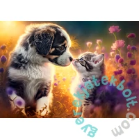 Castorland 500 db-os puzzle - New Friendship (B-53834)