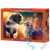 Castorland 500 db-os puzzle - New Friendship (B-53834)
