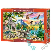 Castorland 1000 db-os puzzle - Wolf Family and Eagles (C-104970)