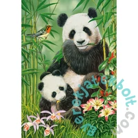 Castorland 1000 db-os puzzle - Panda Brunch (C-104987)
