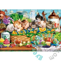 Castorland 1000 db-os puzzle - Napping Kittens (C-105069)