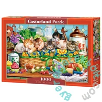 Castorland 1000 db-os puzzle - Napping Kittens (C-105069)