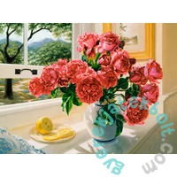 Castorland 3000 db-os puzzle - Summer Reminiscence (C-300631)