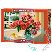 Castorland 3000 db-os puzzle - Summer Reminiscence (C-300631)