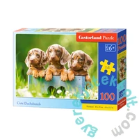Castorland 100 db-os puzzle - Aranyos tacskók (B-111213)