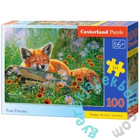 Castorland 100 db-os puzzle - Foxy Dreams (B-111244)