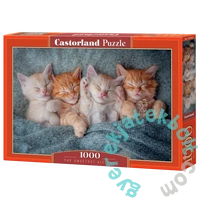 Castorland 1000 db-os puzzle - A legédesebb cicák (C-105144)