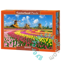 Castorland 1000 db-os puzzle - Holland szélmalmok tulipánok között (C-105540)