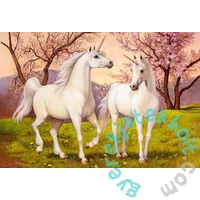 Castorland 1000 db-os puzzle - Szerelmes unikornisok (C-105236)