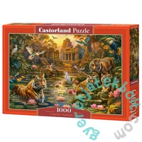 Castorland 1000 db-os puzzle - Tigrisek paradicsoma (C-105199)