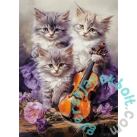 Castorland 260 db-os puzzle - Cicák gitárral (B-27613)