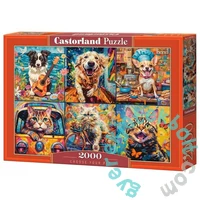 Castorland 2000 db-os puzzle - Kedvencek (C-200948)