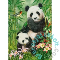 Castorland 300 db-os puzzle - Panda Brunch (B-030507)