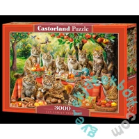 Castorland 3000 db-os puzzle - Cat Family Reunion (300730)