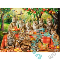 Castorland 3000 db-os puzzle - Cat Family Reunion (300730)