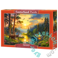 Castorland 3000 db-os puzzle - Napsütés a folyó partján (C-300686)