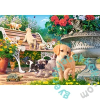 Castorland 500 db-os puzzle - Bújócska (B-53636)