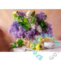 Castorland 500 db-os puzzle - Csendélet orgonával (B-54091)