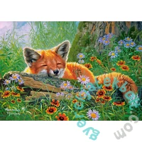 Castorland 500 db-os puzzle - Foxy Dreams (B-53872)