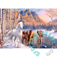 Castorland 500 db-os puzzle - Téli olvadás (B-53704)