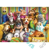 Castorland 60 db-os puzzle - Játékos kiskedvencek (B-066254)