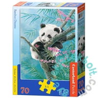 Castorland 70 db-os puzzle - Bambusz álmok (B-070183)